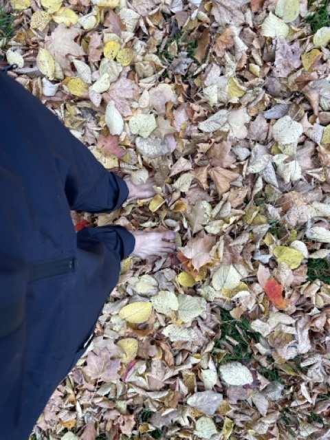 Barefoot through autumn leaves