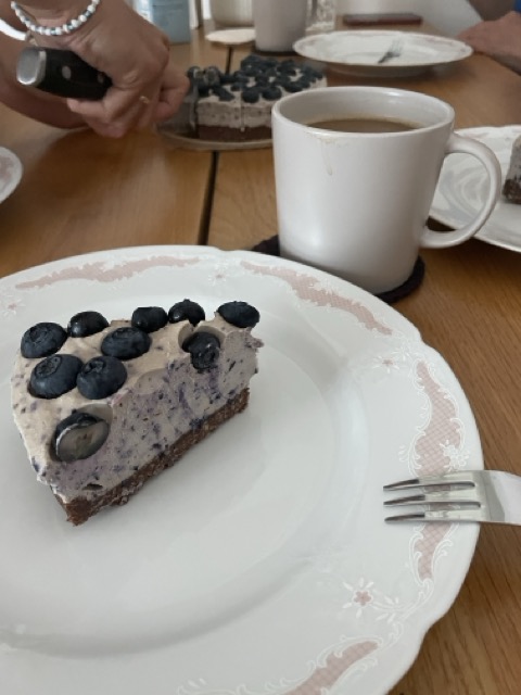 veganer zuckerfreier Blaubeerkuchen