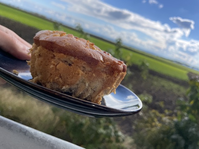 Torte mit der Hand essen