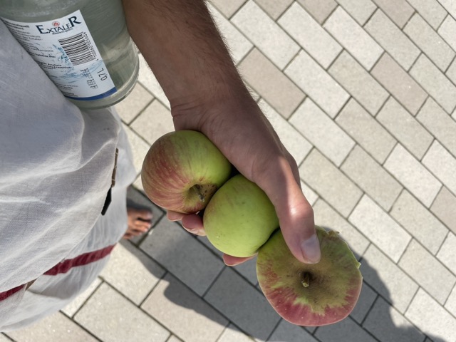 Äpfel Pflücken an der Uni Hildesheim