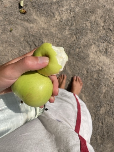 BIO Lebensmittel bevorzugen