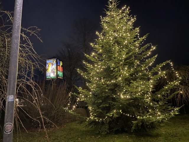 Tannenbaum in Borsum