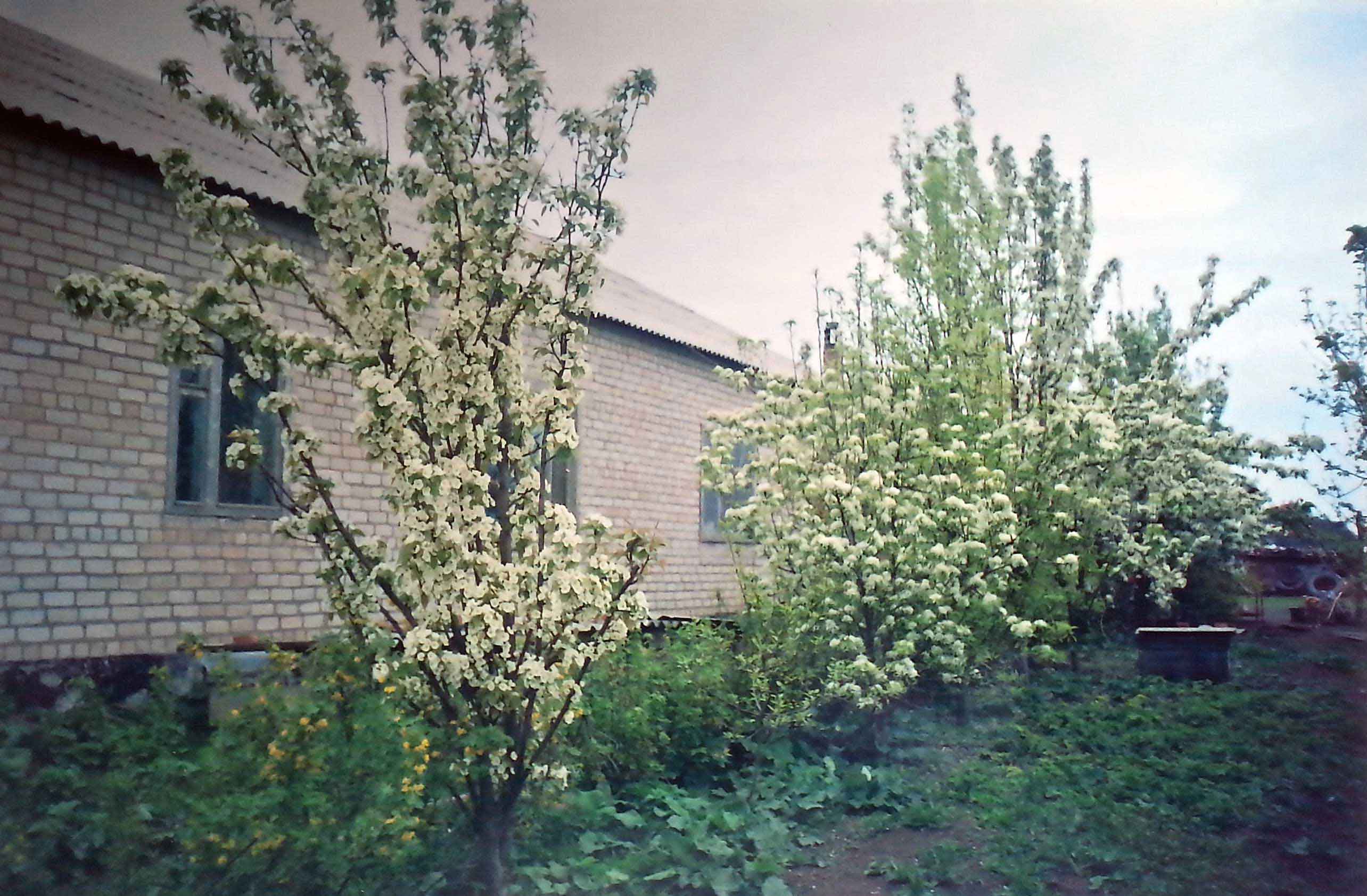 Haus der Großeltern mit Garten