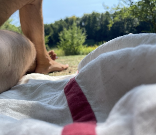 Garten Eden auf der Erde