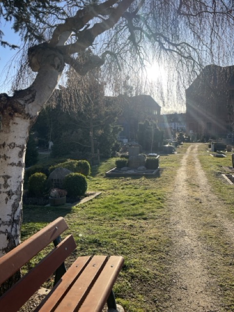 Godehard Friedhof in Hildesheim