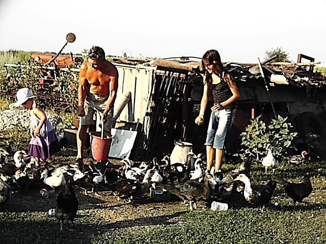 Großvater mit meinen Schwestern und Enten