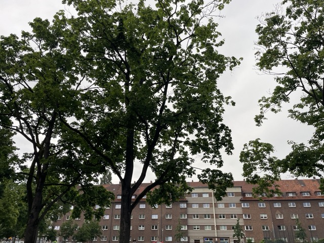 Regen ist gesund für die Haare und Kopfhaut