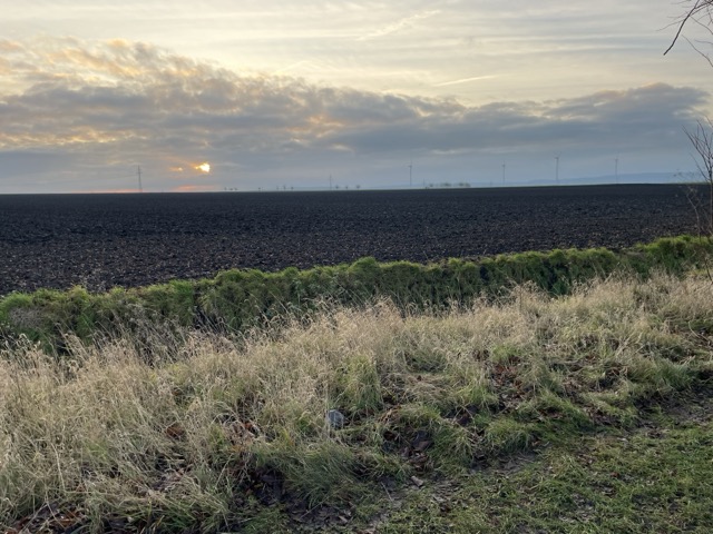 Landschaft mit Feldern