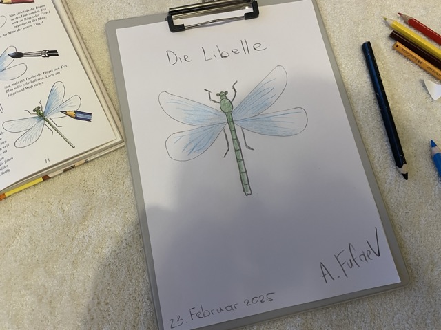 Libelle zeichnen