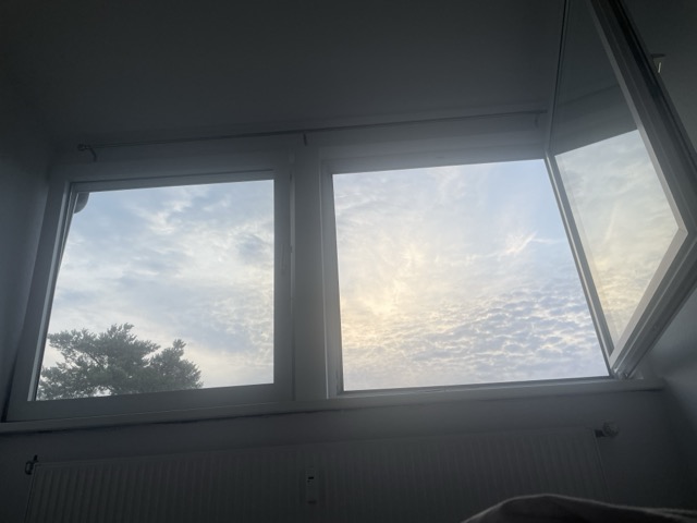 Naturverbundenheit zu Hause