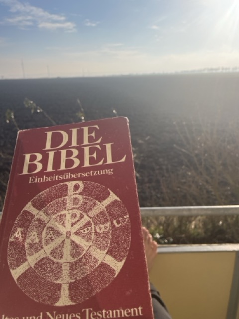 Bibel lesen: Neues Testament nach Matthäus