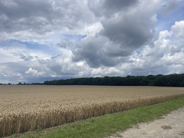 Dem Regen ohne Regenbekleidung begegnen
