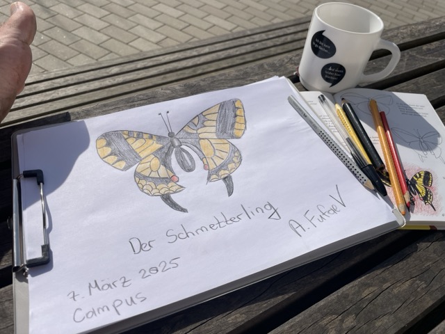 Einen Schmetterling zeichnen