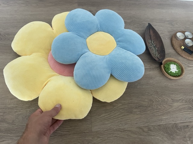 Sitzkissen ausmisten