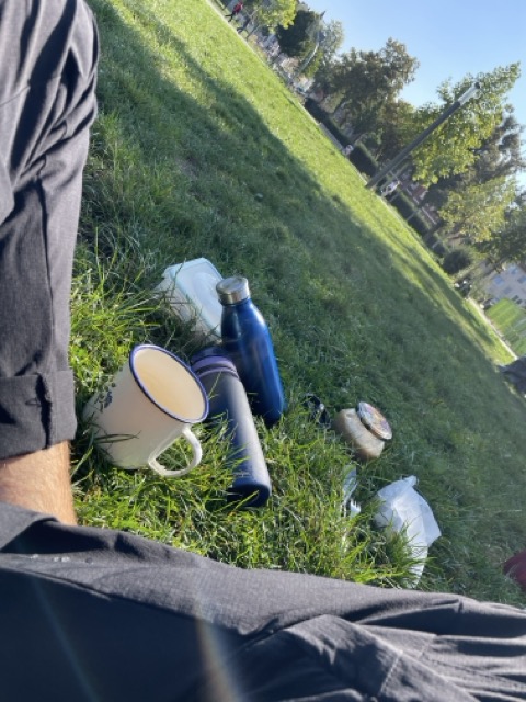 Steingrube Picknicken in Hildesheim