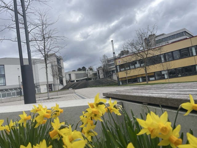 Universität Hildesheim