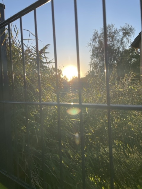 Wahrheit über Jesus