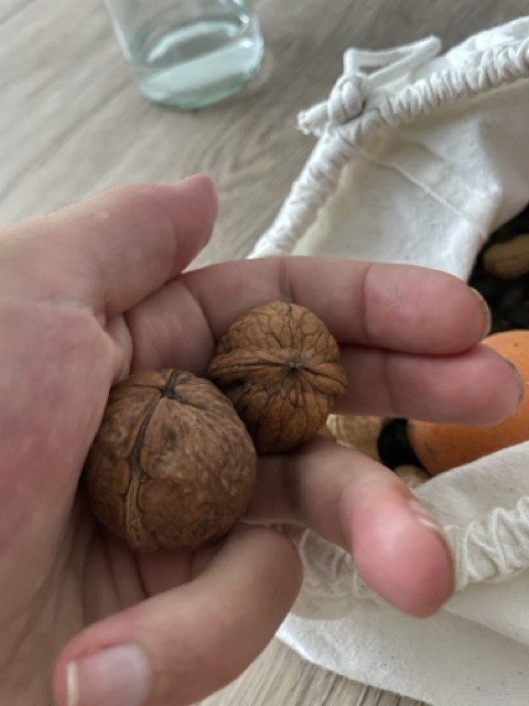 Walnuss mit Hand knacken