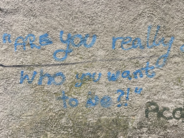 Weise Graffiti in Hildesheim