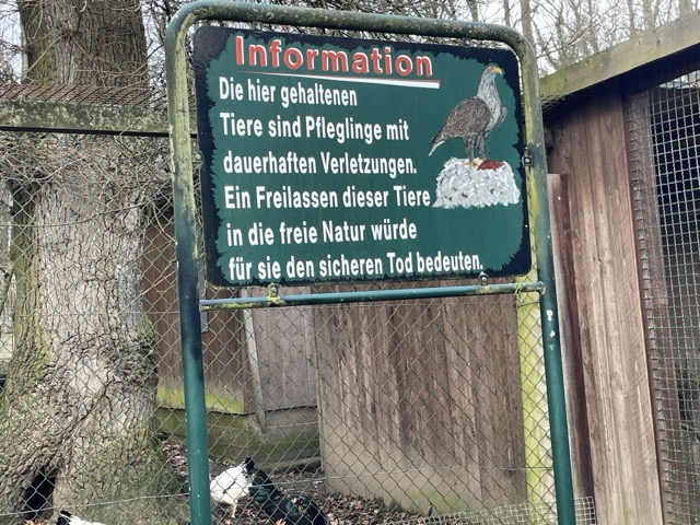 Zoo-Tiere freilassen